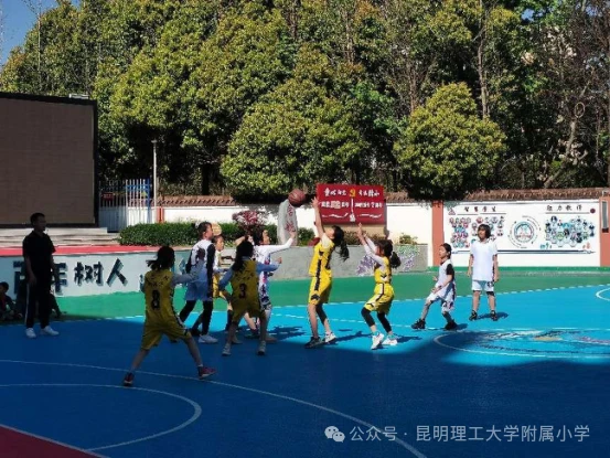 篮球训练app推荐免费_2